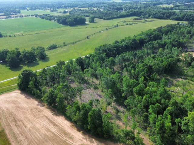 Land for sale in Elkmont, Alabama