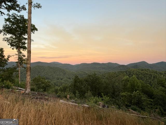 Land for sale in Clayton, Georgia