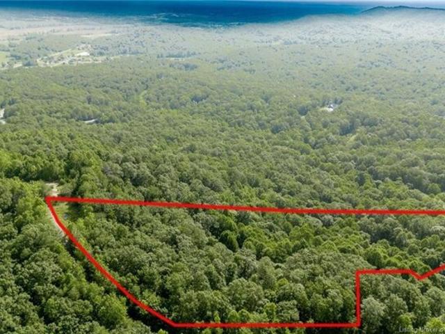 Land for sale in Borden