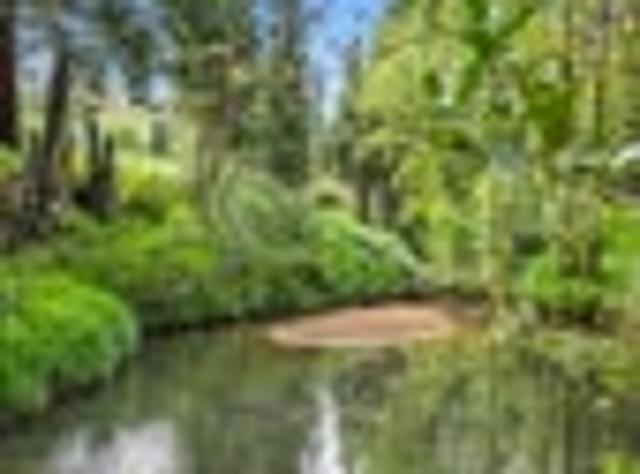 House for sale in Rodney, Kawau Island