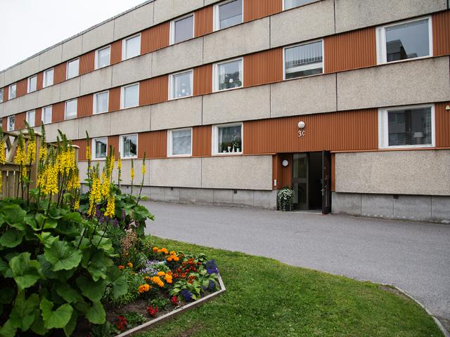 Hus hyra i Piteå
