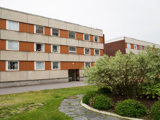 Hus hyra i Piteå, Norrbotten