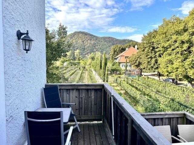 Gewerbe kaufen in Dürnstein, Niederösterreich
