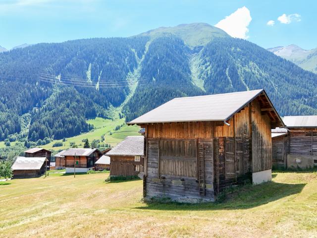Landwirtschaft kaufen in Grafschaft, Wallis