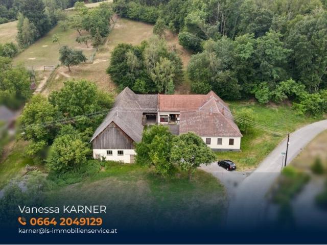 Bauernhaus kaufen in Wiesfleck, Bezirk Oberwart