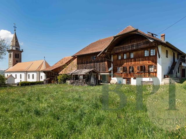 Landwirtschaft kaufen in Corbières, Freiburg