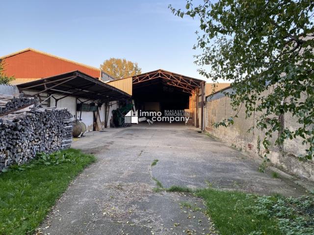 Haus kaufen in Nickelsdorf, Burgenland