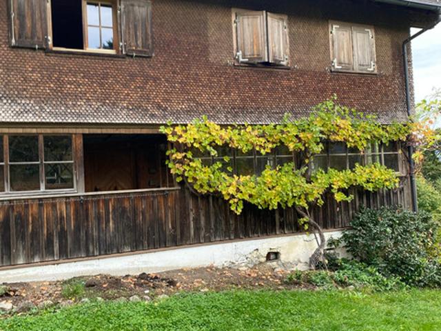 Immobilie mieten in Schwarzenberg, Bezirk Bregenz