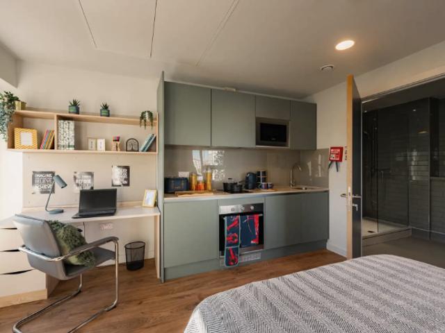 Studio for rent in The Meadows, Haddon