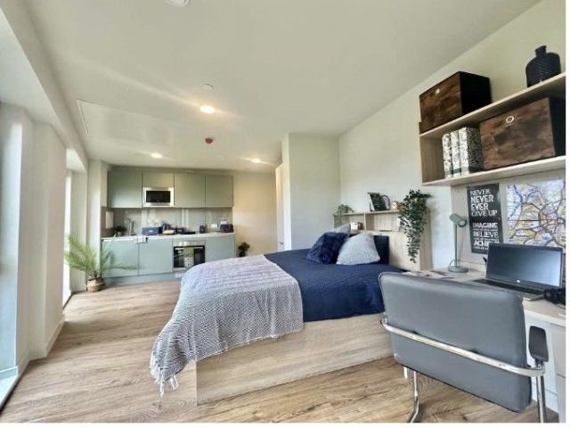 Studio for rent in The Meadows, Haddon