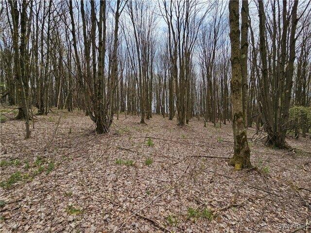 Land for sale in Ellicottville
