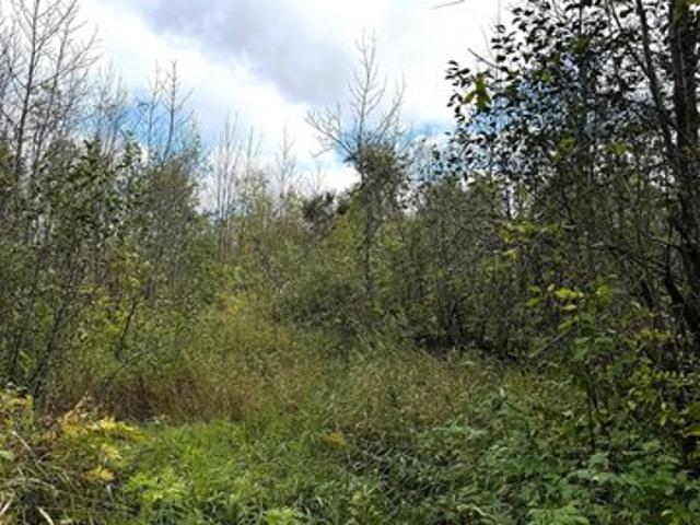 Land for sale in Barnum, Carlton County