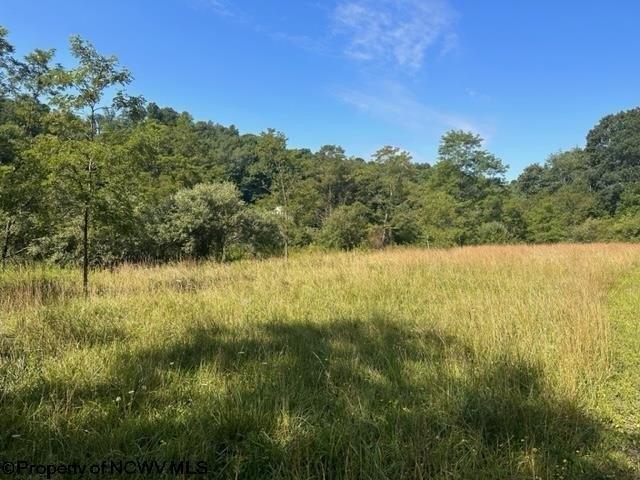 Land for sale in Masontown, West Virginia