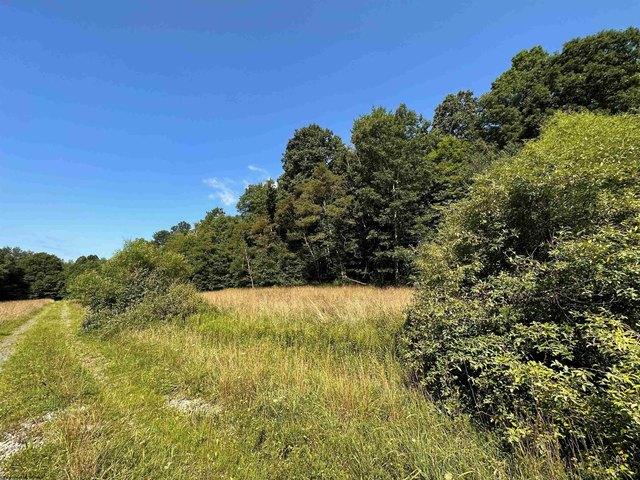 Land for sale in Masontown, West Virginia