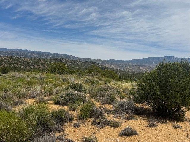 Land for sale in Anza, California