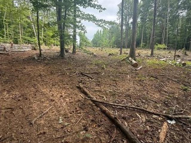 Land for sale in Reidsville, North Carolina