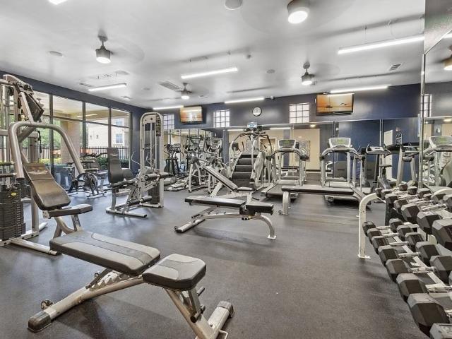 Apartment for rent in Dallas, Texas