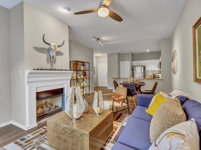 Apartment for rent in Dallas, Texas