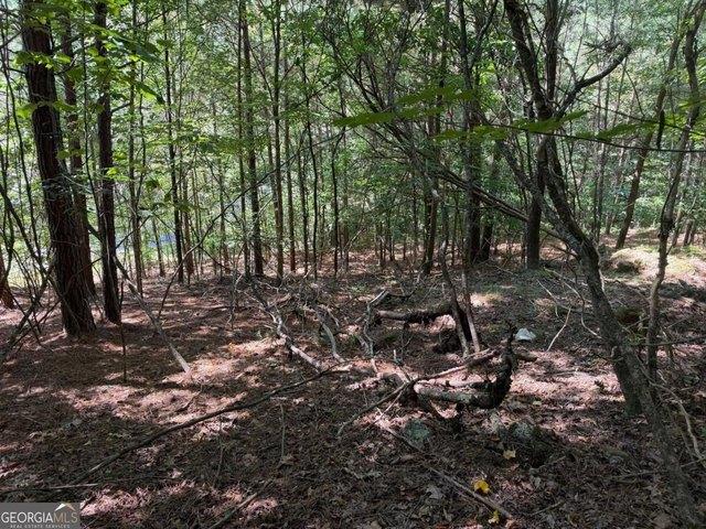 Land for sale in Blairsville, Union County