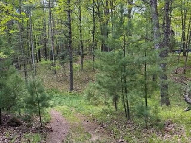 Land for sale in Minocqua, Wisconsin