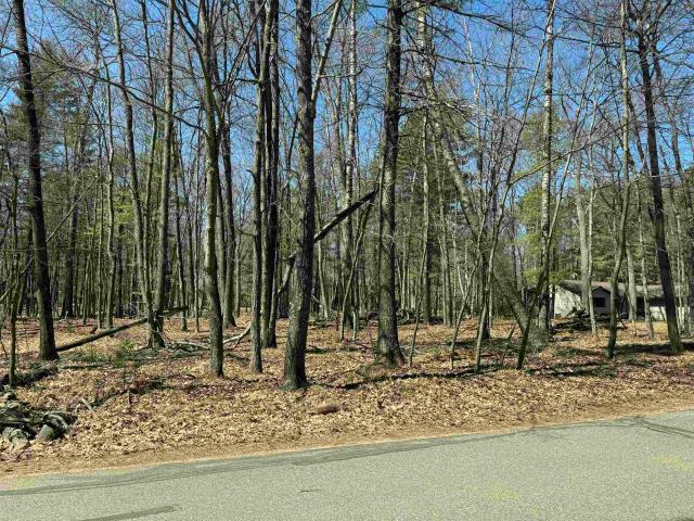 Land for sale in Minocqua, Wisconsin