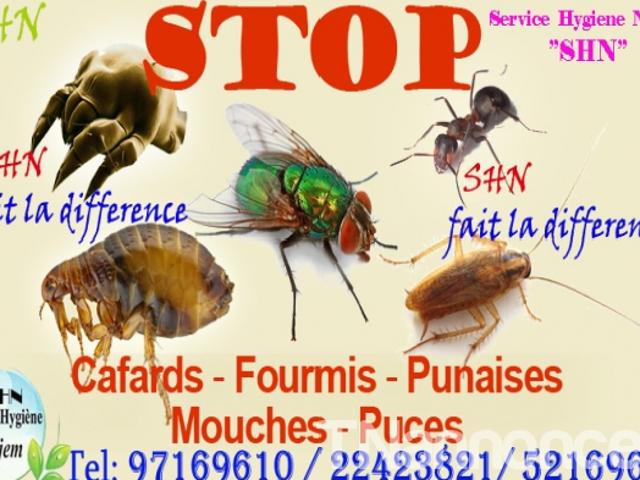 Propriété vente