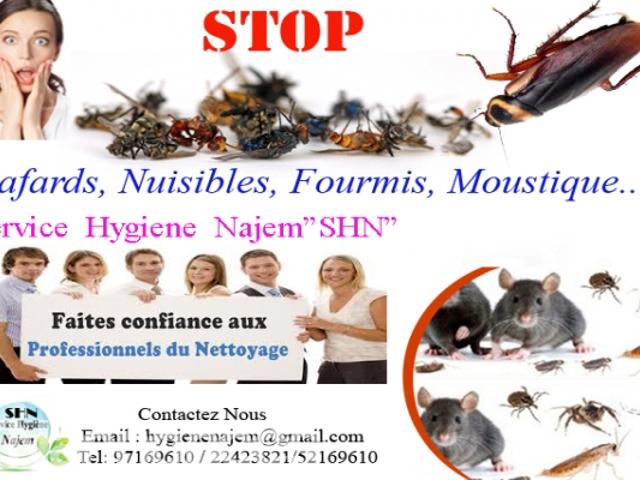 Propriété location