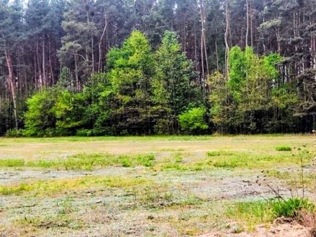 Grunt na sprzedaż w Mieszkowo, Mazowieckie