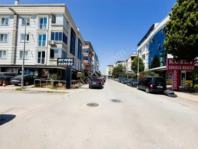 Atakum, Samsun içerisinde kiralık mülk