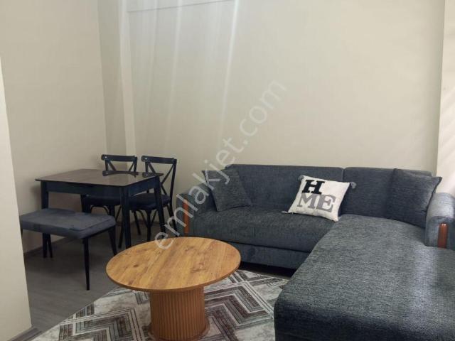 İstanbul Merkez, İstanbul içerisinde kiralık mülk