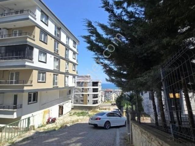 Kurupelit, Atakum içerisinde kiralık mülk