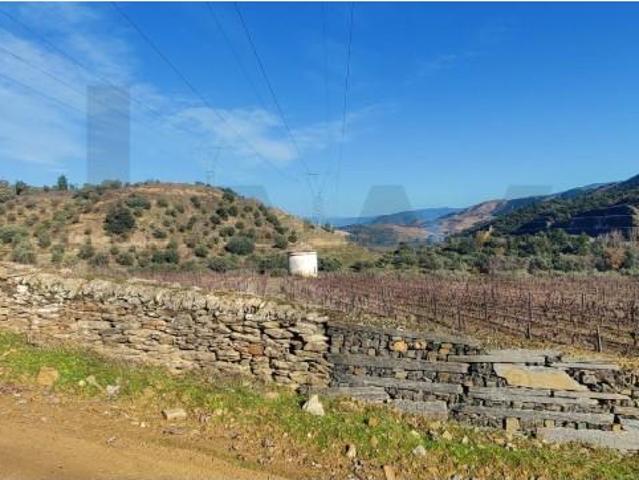 Terreno venda em Guarda, Trancoso