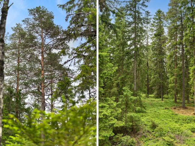 Bostad till salu i Gislaved, Jönköping