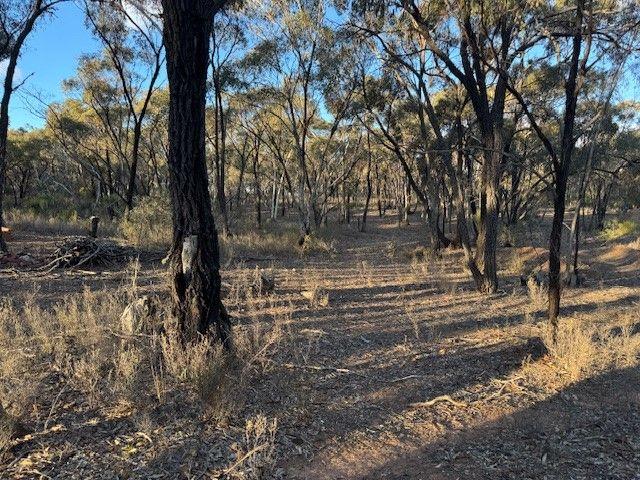 Land for sale in Wedderburn, Victoria