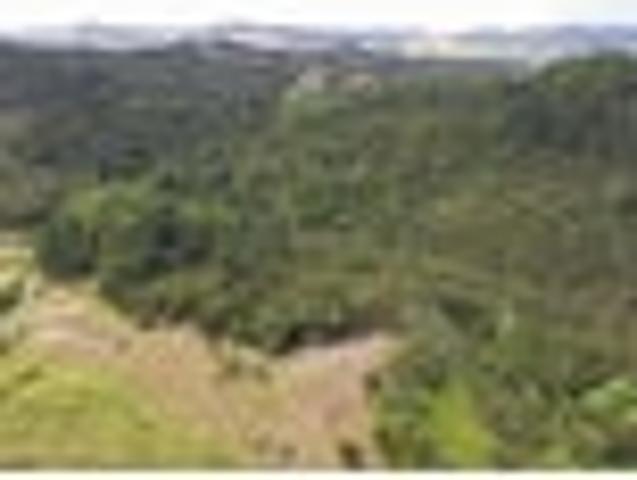 Land for sale in Fairburn, Northland