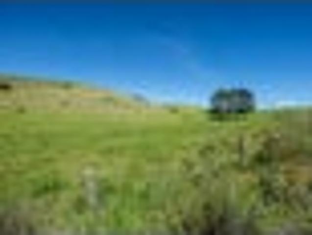 Land for sale in Northland