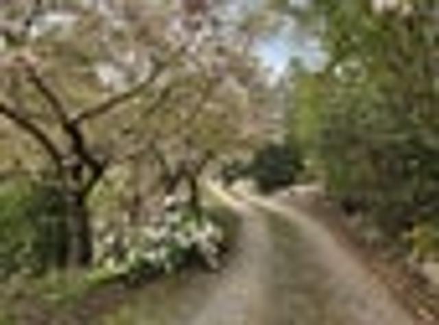 House for sale in Waimate District, Canterbury
