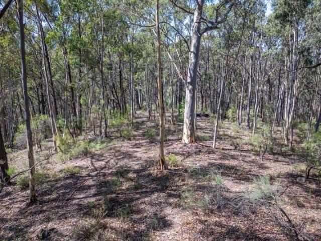 Land for sale in Kanimbla, New South Wales