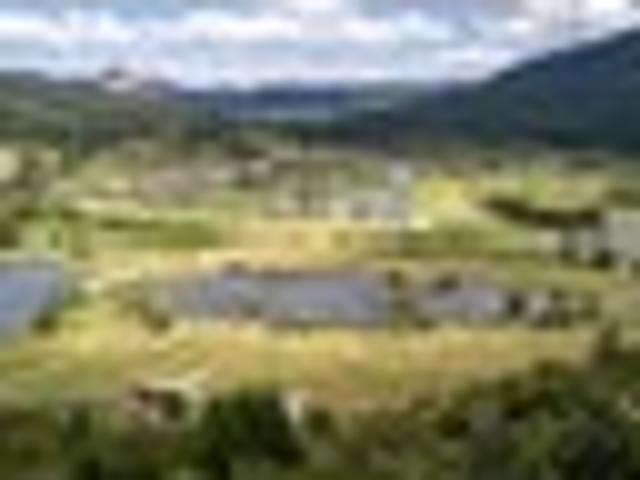 Land for sale in Waikato