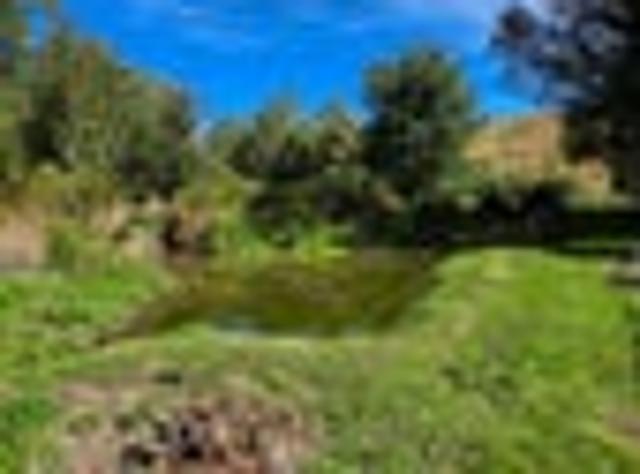 House for sale in Burkes Pass, Canterbury