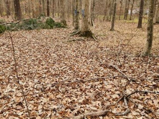 Land for sale in Hertford Land for sale in Hertford