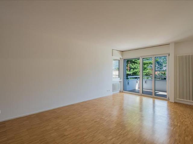 Apartment mieten in Molino Nuovo, Lugano
