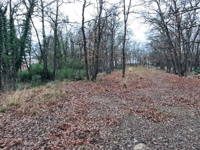 Terrain vente à Arrondissement de Draguignan, Trans-en-provence