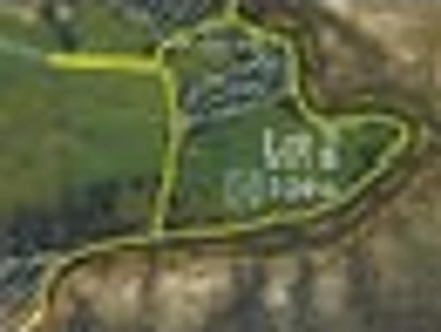 Land for sale in Kawau Island