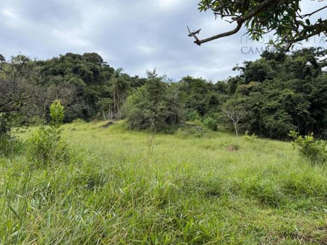 Sítio e chácara venda em Região Geográfica Imediata de Pouso Alegre, Bueno Brandão