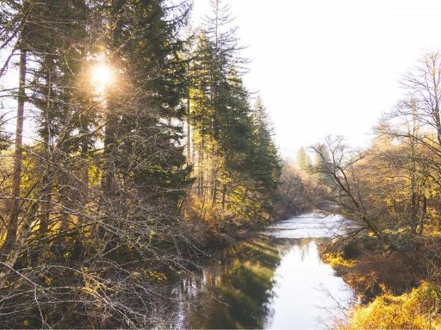 Farm for sale in Oregonia