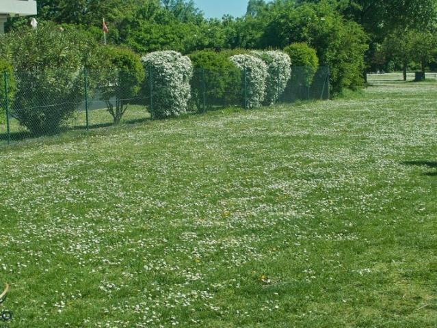 Grundstück kaufen in Atzenbrugg, Niederösterreich