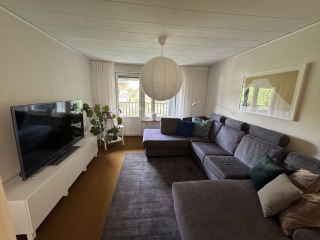 Hus hyra i Umeå, Västerbotten