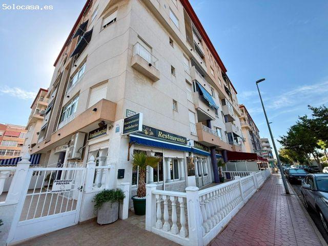 Local Comercial en alquiler en Urbanització Pinar de Guardamar, Guardamar del Segura