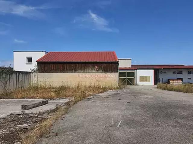 Terrain vente à Traubach-le-Bas, Collectivité européenne d'Alsace